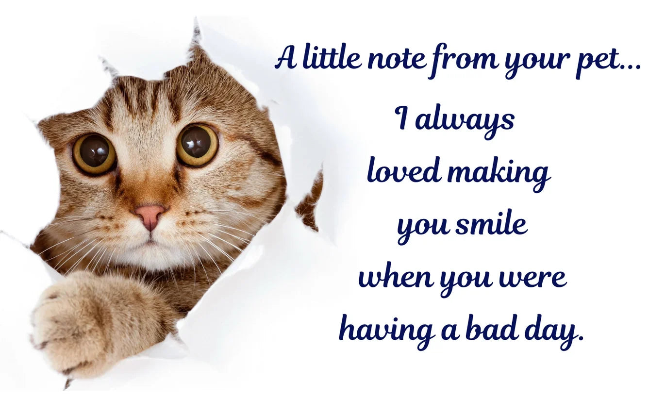 Coping With the Loss of a Pet: Comfort Ideas for Grieving Dog & Cat Owners