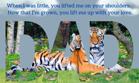 My Fabulous Father - The Perfect Gift for Your Much-Loved Father for Any Occasion