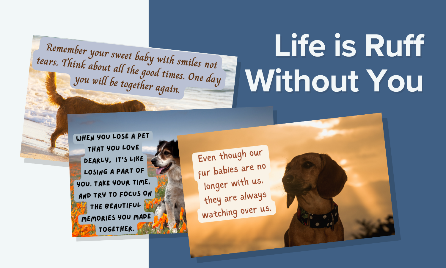 Its Ruff Without You Life Is Ruff Without You – Dezire to Inspire