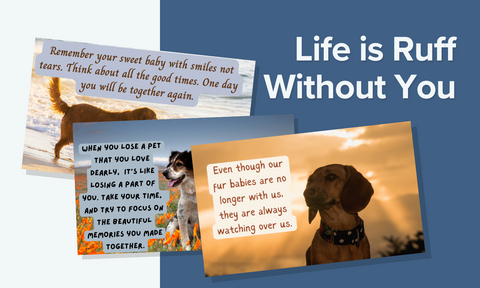 Life Is Ruff Without You - For Those Suffering the Loss of a Barking Best Friend