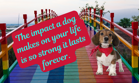 Life Is Ruff Without You - For Those Suffering the Loss of a Barking Best Friend