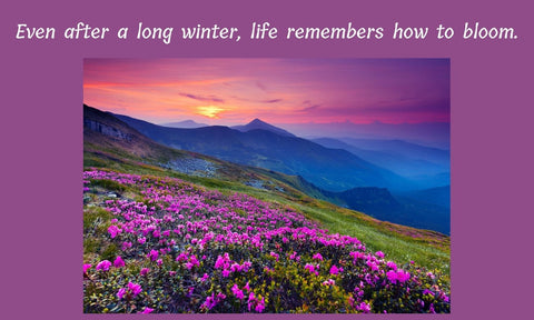 Until We Meet Again - From a Dying Loved One to a Surviving Loved One