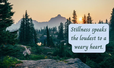 Perseverance and Peace - For Women Navigating the Journey of PTSD