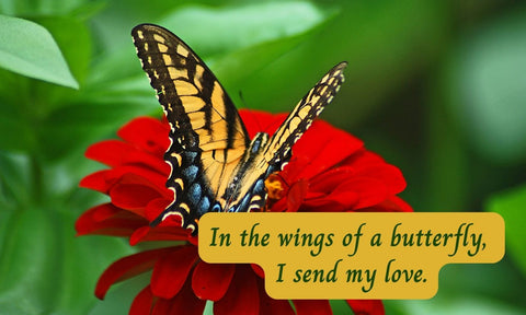 Until We Meet Again - From a Dying Loved One to a Surviving Loved One