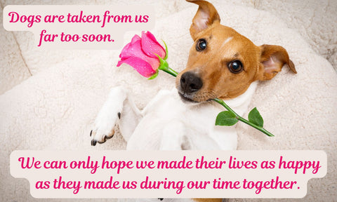 Life Is Ruff Without You - For Those Suffering the Loss of a Barking Best Friend