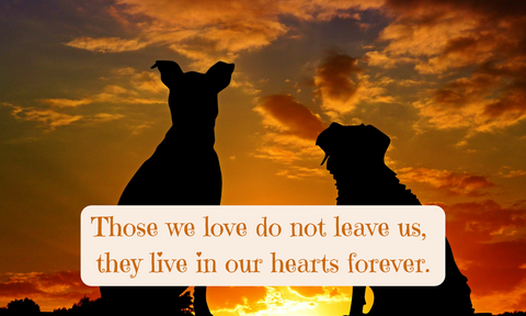 Life Is Ruff Without You - For Those Suffering the Loss of a Barking Best Friend