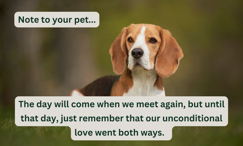 Life Is Ruff Without You - For Those Suffering the Loss of a Barking Best Friend