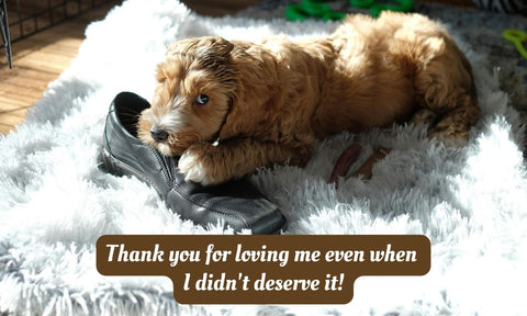 Life Is Ruff Without You - For Those Suffering the Loss of a Barking Best Friend