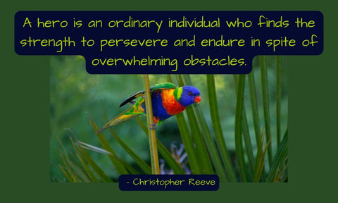 Inspiration to Overcome - Daily Wisdom For Anyone Struggling With Depression/Anxiety