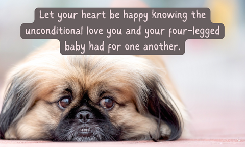 Life Is Ruff Without You - For Those Suffering the Loss of a Barking Best Friend