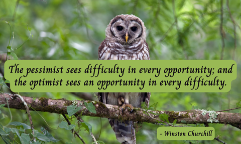 Words of Wisdom - Daily Doses of Wisdom and Inspiration for Any Occasion