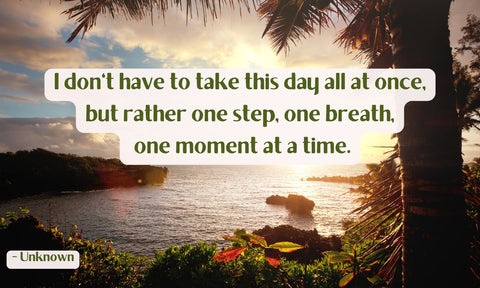 Perseverance and Peace - For Women Navigating the Journey of PTSD
