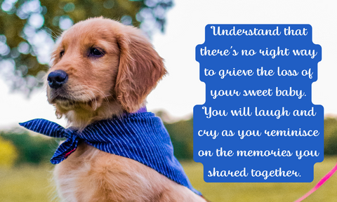 Life Is Ruff Without You - For Those Suffering the Loss of a Barking Best Friend
