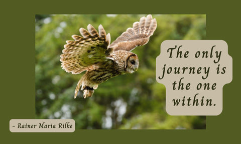 My Marvelous Mother - The Perfect Gift for Your Beloved Mother for Any Occasion