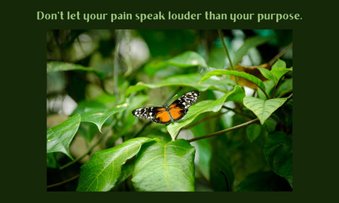 Survive and Thrive - Daily Wisdom for Men Suffering With PTSD
