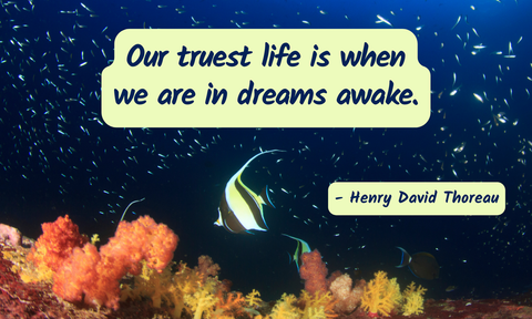 Words of Wisdom - Daily Doses of Wisdom and Inspiration for Any Occasion