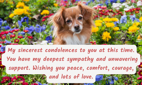 Life Is Ruff Without You - For Those Suffering the Loss of a Barking Best Friend