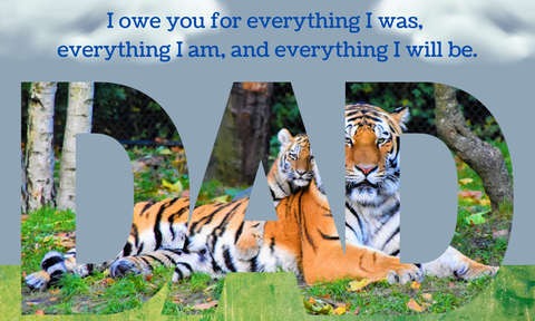 My Fabulous Father - The Perfect Gift for Your Much-Loved Father for Any Occasion