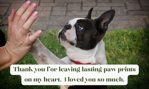 Life Is Ruff Without You - For Those Suffering the Loss of a Barking Best Friend