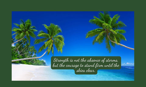 Perseverance and Peace - For Women Navigating the Journey of PTSD
