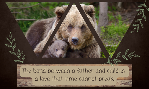 My Fabulous Father - The Perfect Gift for Your Much-Loved Father for Any Occasion